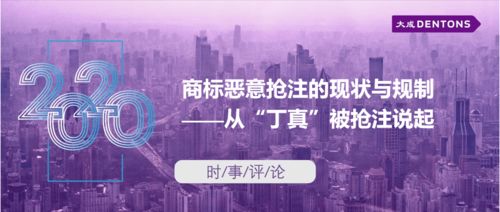 商標惡意搶注的現狀與規制——從丁真被搶注說起丨大成時事評論